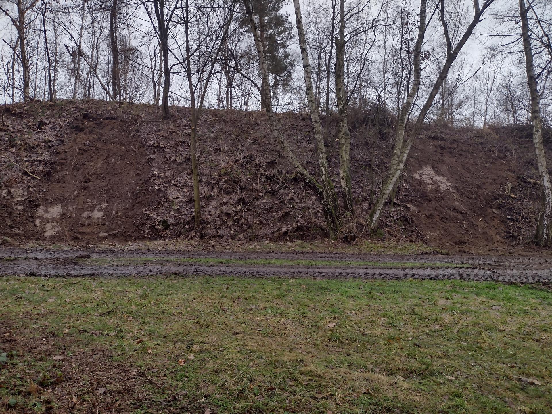 IMG_20230203_142855679_HDR