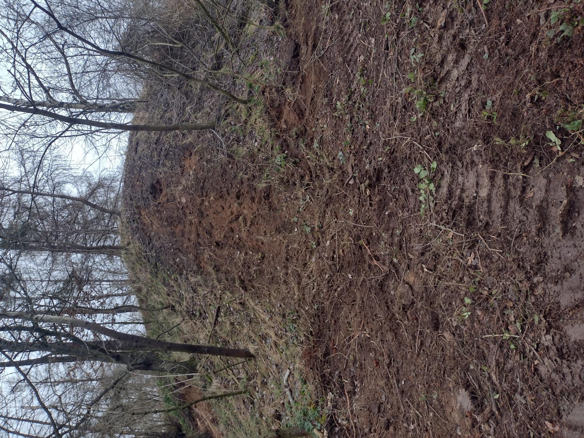 IMG_20230203_142935696_HDR
