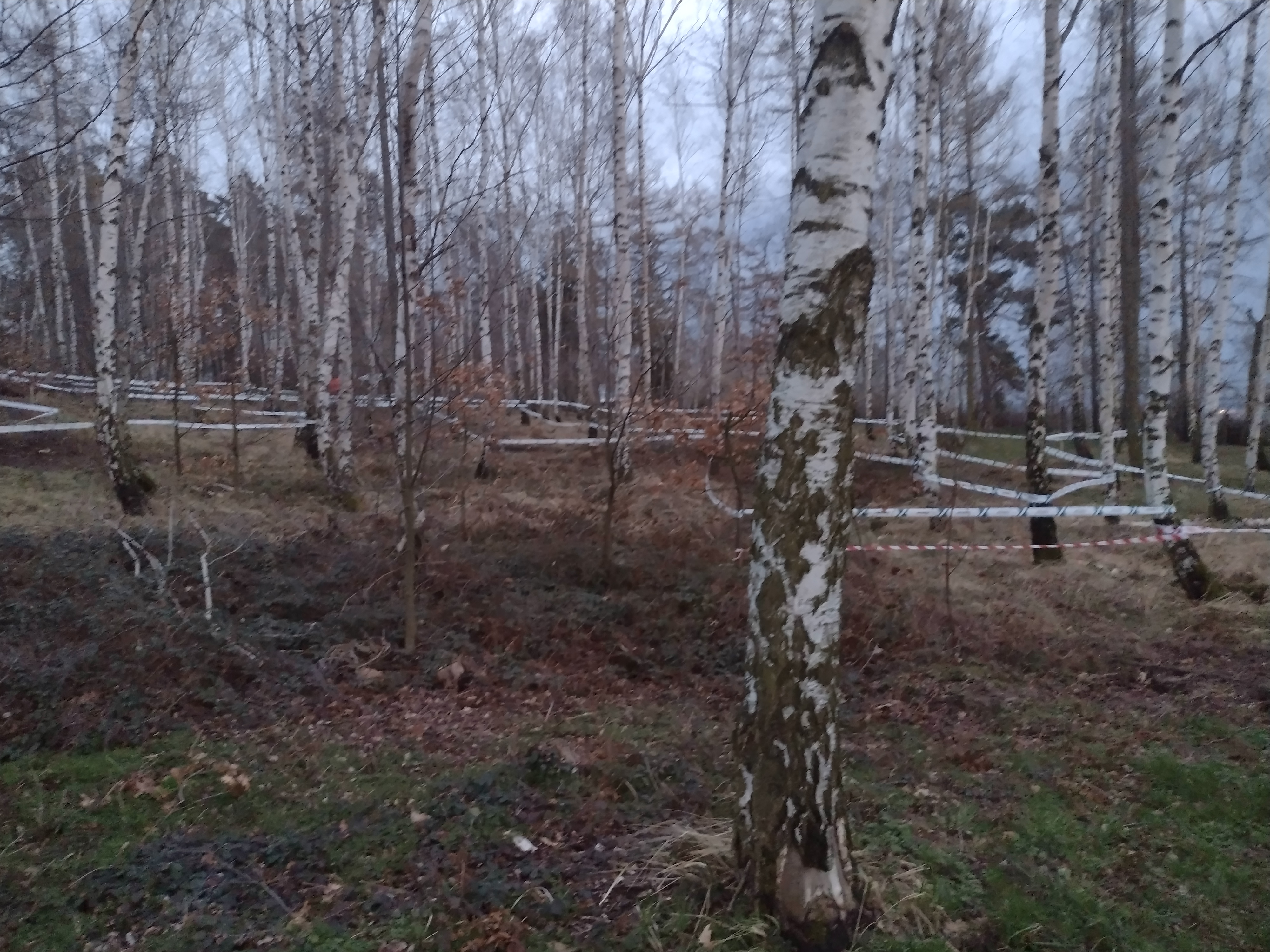 IMG_20230330_193909089